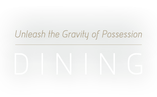 Unleash the Gravity of Possession 牵动你的消费体验 国金品味