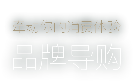 Unleash the Gravity of Possession 牵动你的消费体验 品牌导购